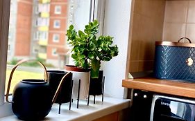 Cozy One Bedroom Apartment In The City Center